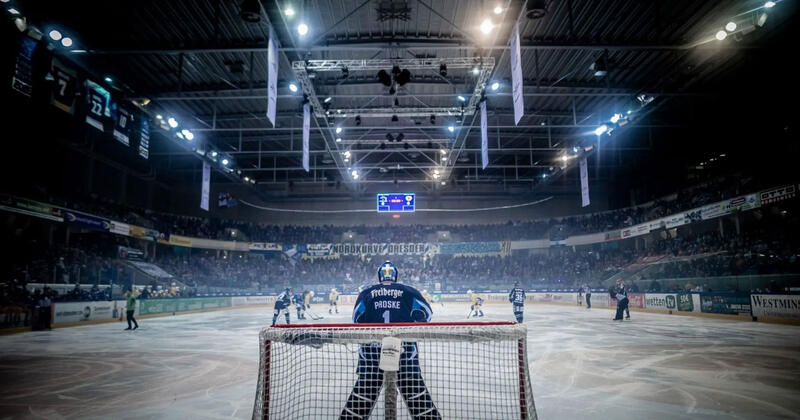 Titelbild - Veranstaltung: BUSINESS meets SPORT | Dresdner Eislöwen